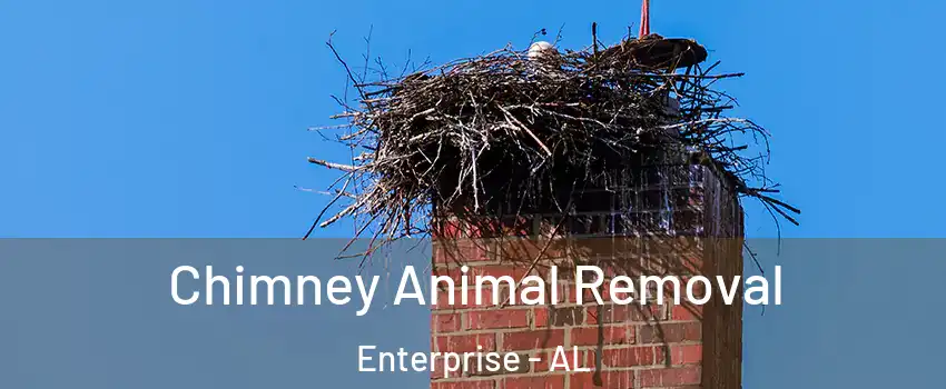 Chimney Animal Removal Enterprise - AL