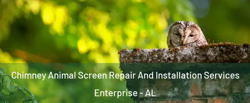  Chimney Animal Screen Repair And Installation Services Enterprise - AL
