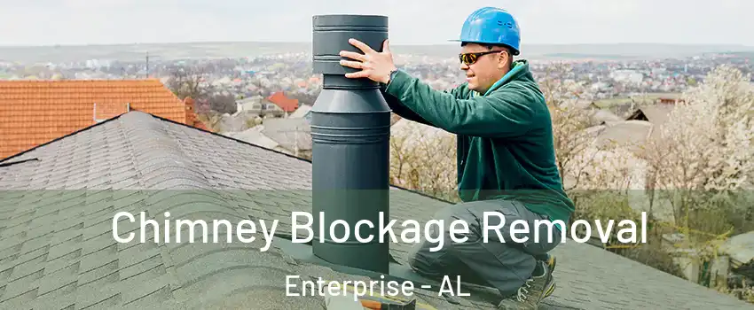  Chimney Blockage Removal Enterprise - AL