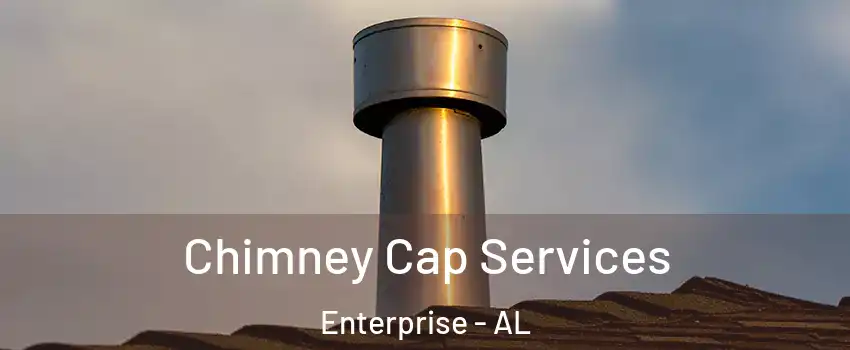  Chimney Cap Services Enterprise - AL