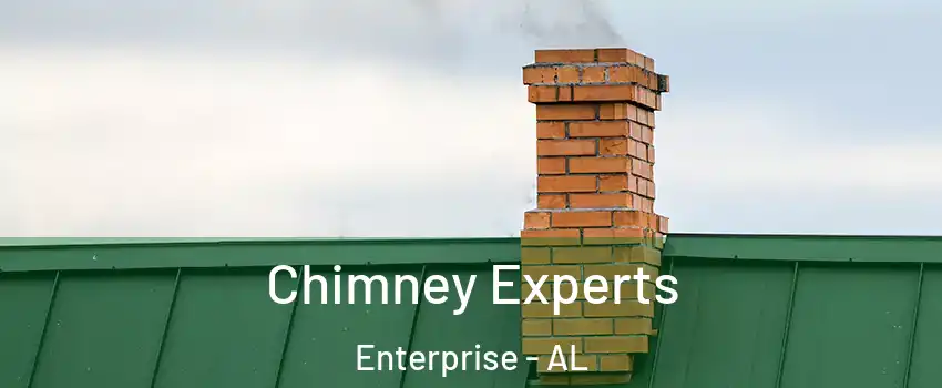 Chimney Experts Enterprise - AL