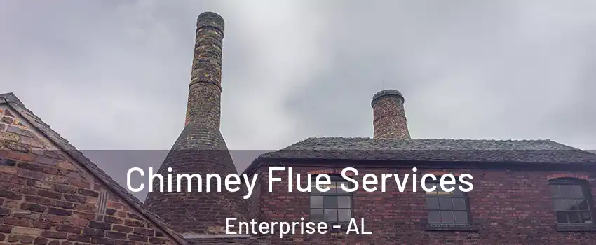  Chimney Flue Services Enterprise - AL