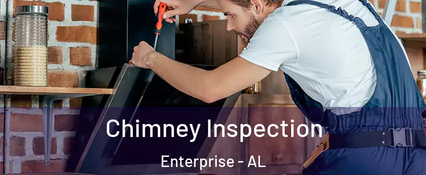  Chimney Inspection Enterprise - AL