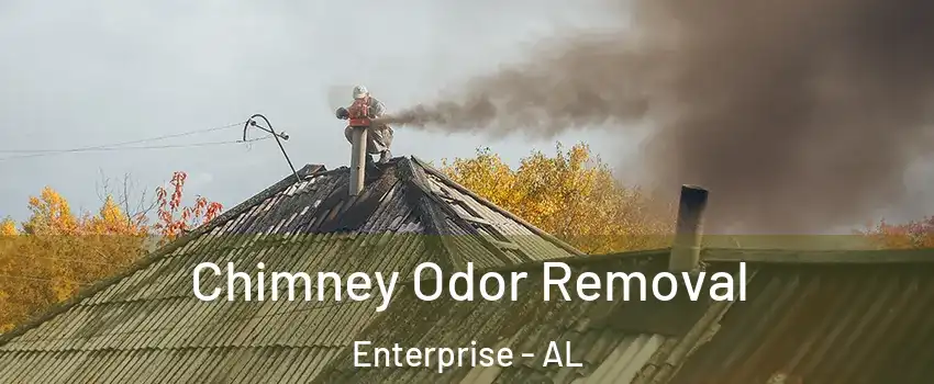  Chimney Odor Removal Enterprise - AL