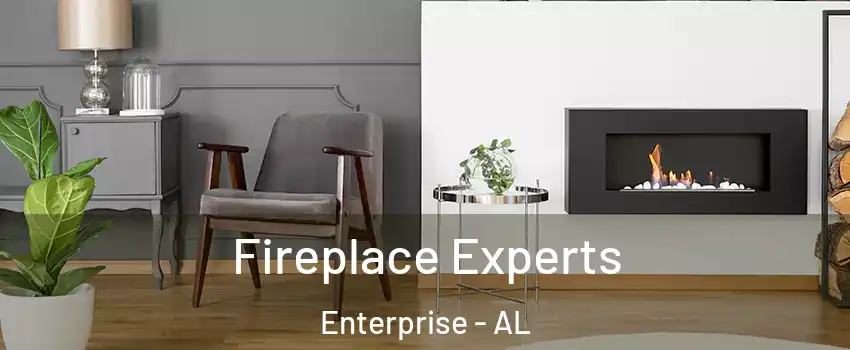  Fireplace Experts Enterprise - AL