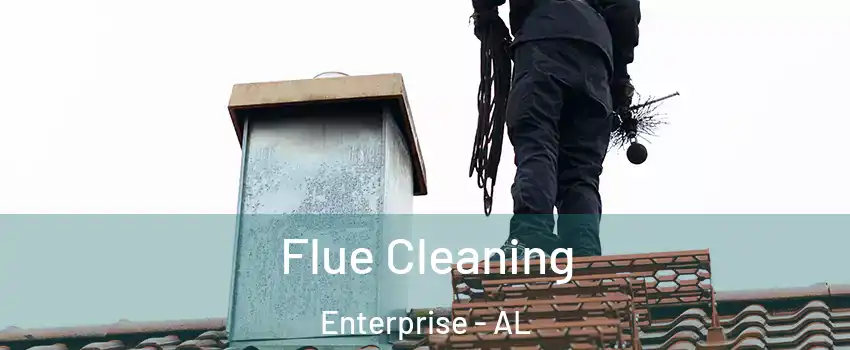  Flue Cleaning Enterprise - AL