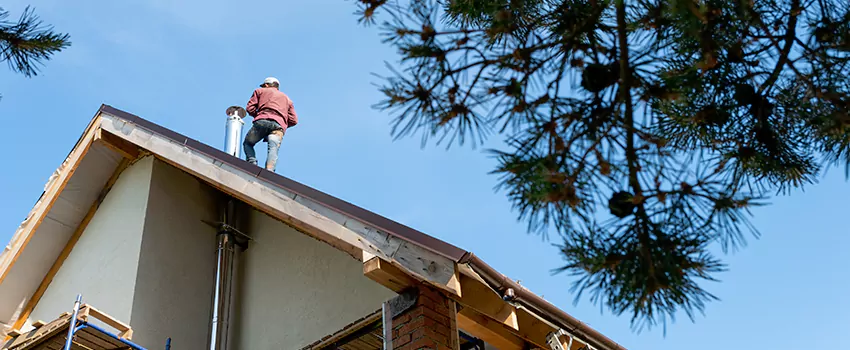 Birds Removal Contractors from Chimney in Enterprise, AL