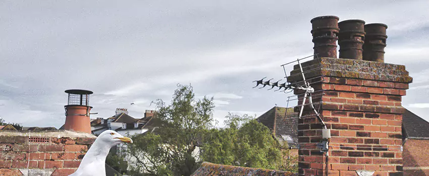 Chimney Cleaning And Restoration in Enterprise, Alabama