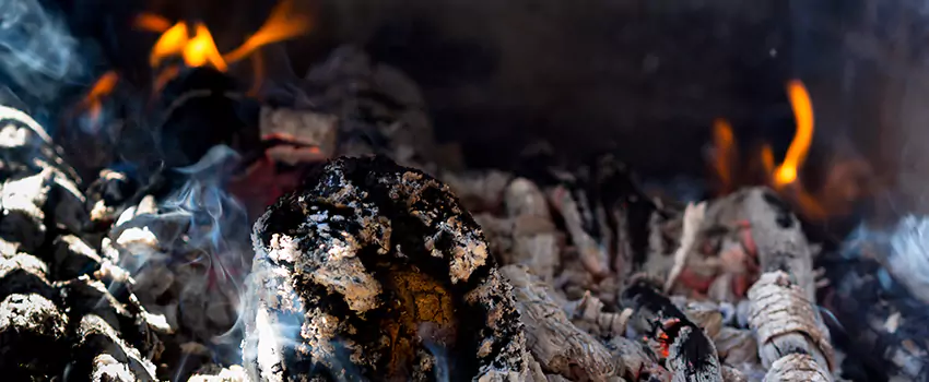 Creosote Removal Experts in Enterprise, AL